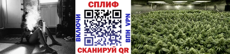 Купить закладку ГАШИШ A-PVP АМФ Канабис КОКАИН МЕФ Отрадное