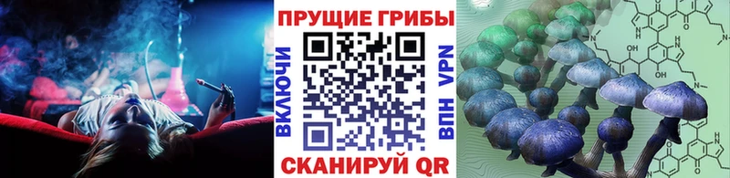 Псилоцибиновые грибы GOLDEN TEACHER  Купить где  Отрадное 
